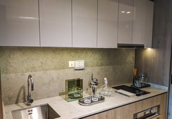 Avenue South Residence (D3), Apartment #554562151